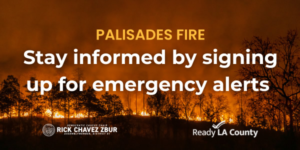 Palisades Fire