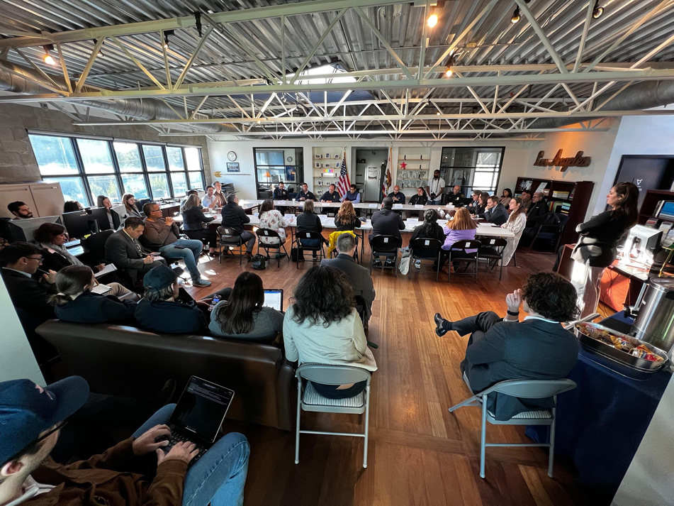 Wide view of roundtable participants