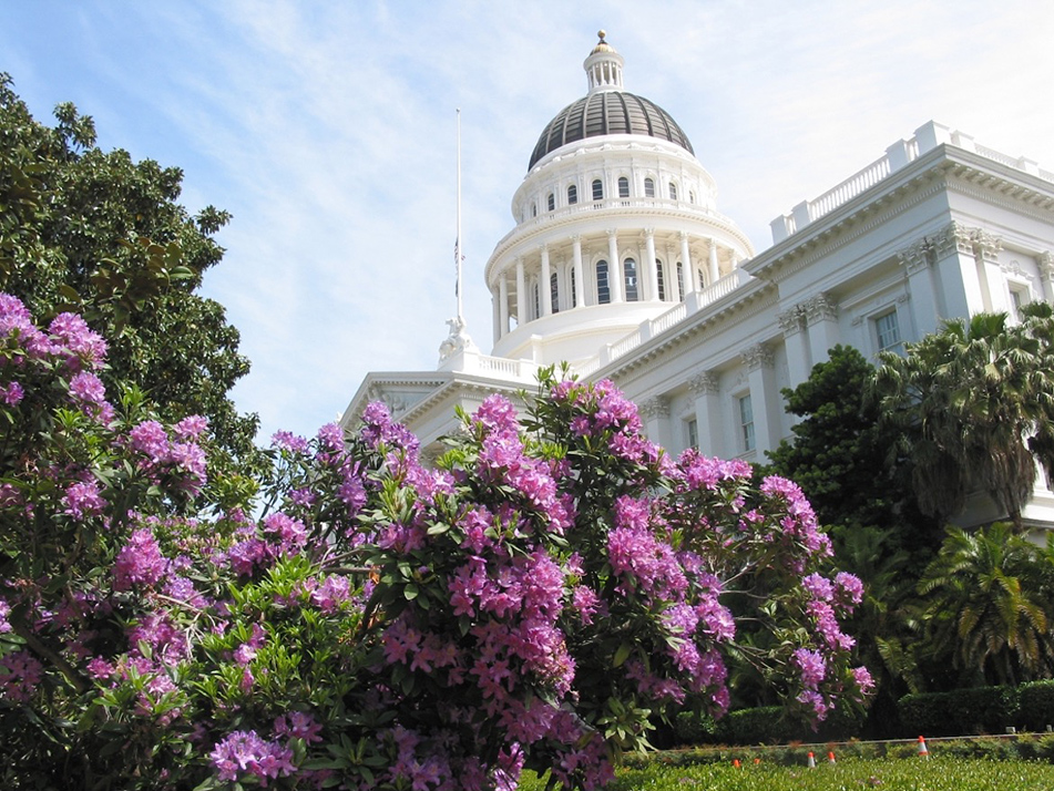 State Capitol Building with flowers in foreground