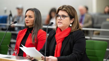 Witness providing testimony